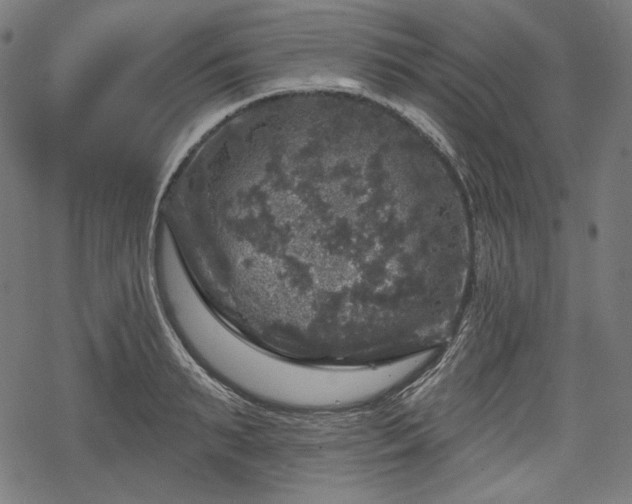 X0000068890895200605081317