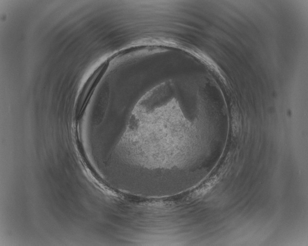 X0000068890896200605081317