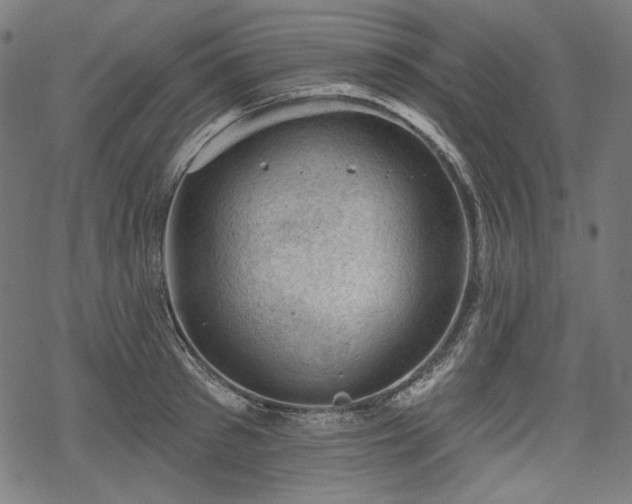 X0000068890897200605081317