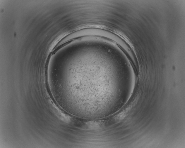 X0000068890898200605081317