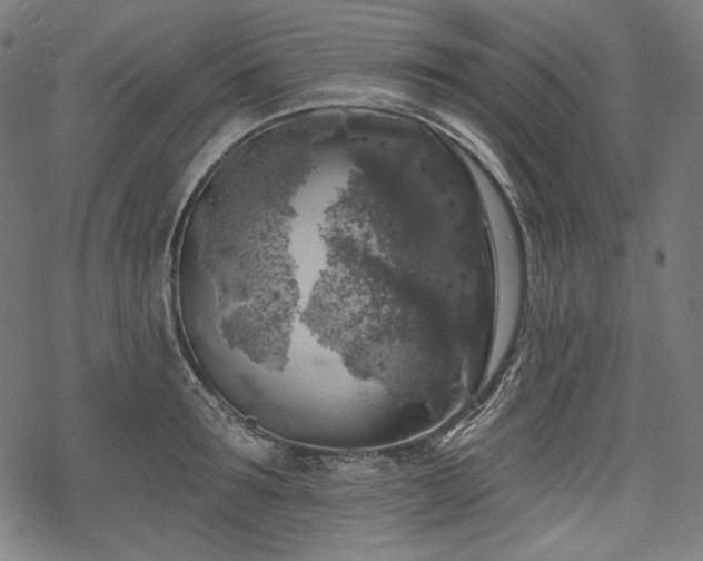 X0000068890899200605081317