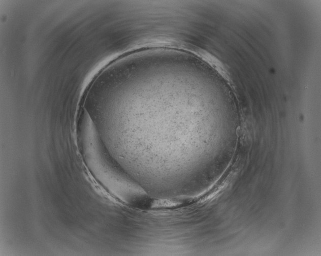 X0000068890904200605081316