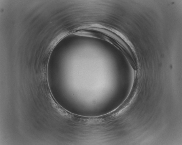 X0000068890905200605081316