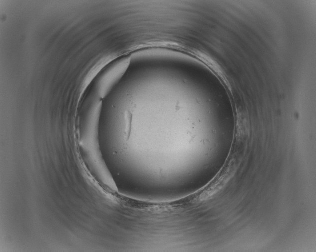 X0000068890906200605081316