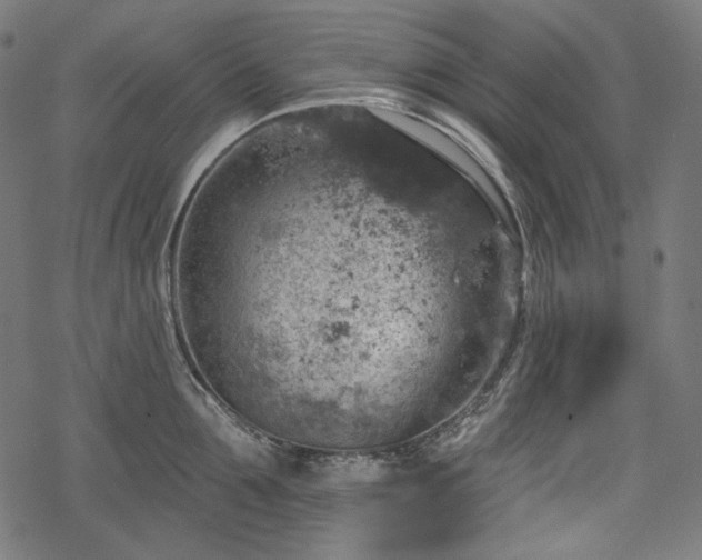 X0000068890907200605081316