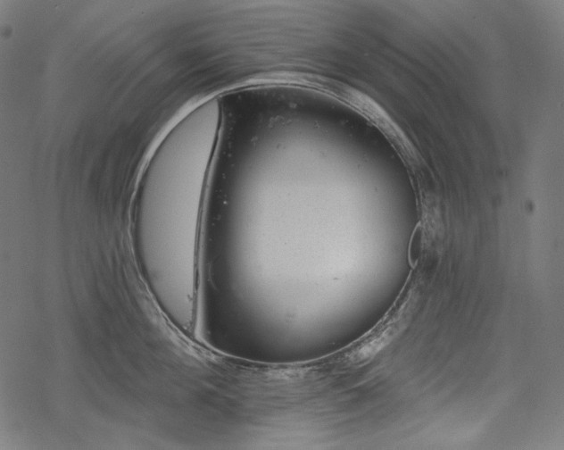 X0000068890908200605081316