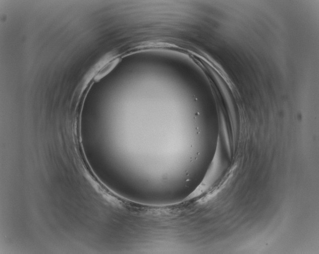 X0000068890909200605081316