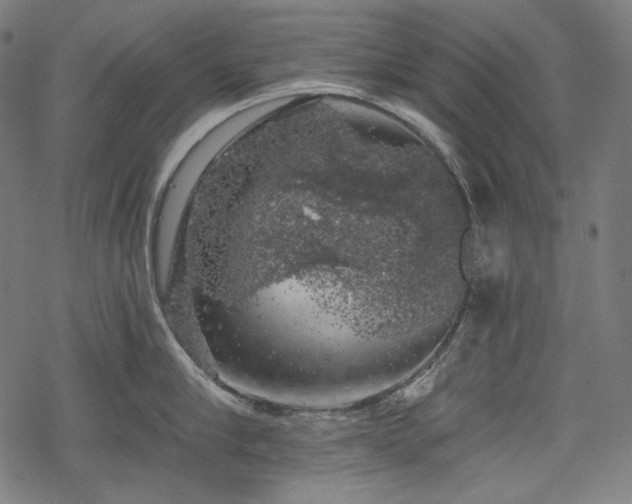 X0000068890910200605081316