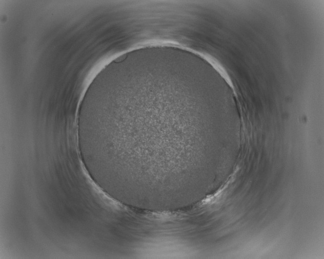 X0000068890911200605081316