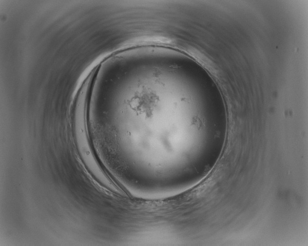 X0000068890912200605081316