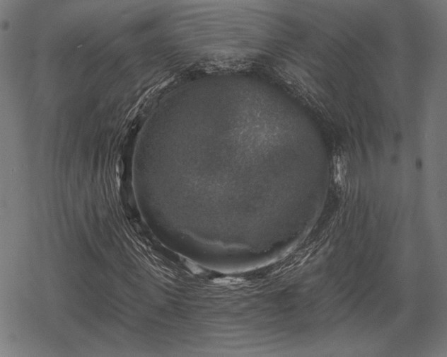 X0000068890915200605081316