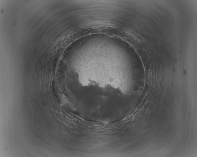 X0000068890917200605081316