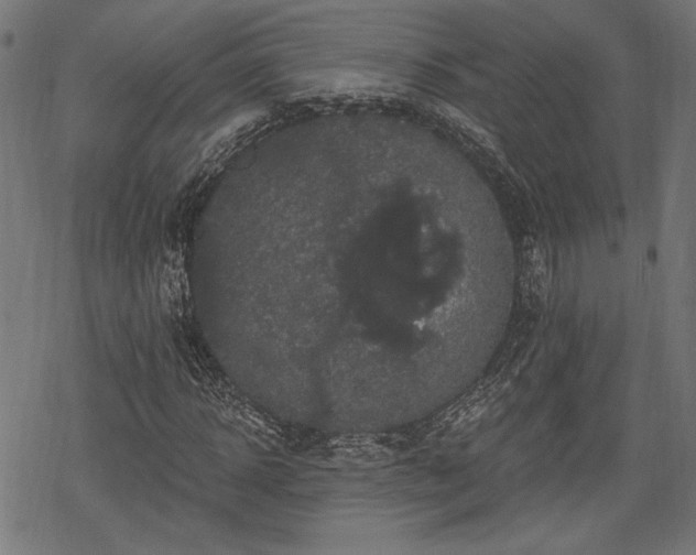 X0000068890918200605081316