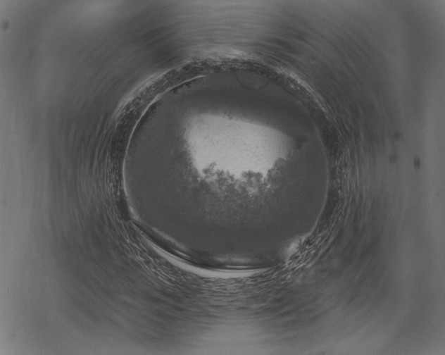 X0000068890919200605081316