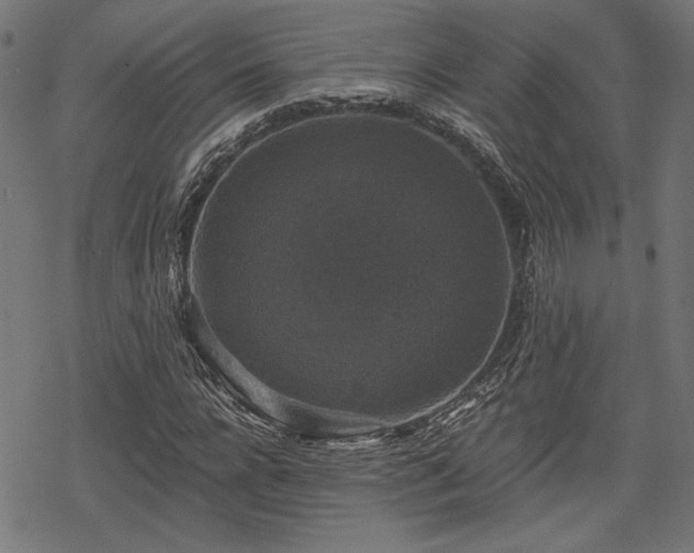 X0000068890920200605081316