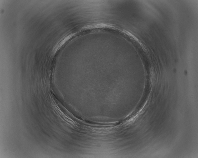 X0000068890921200605081316