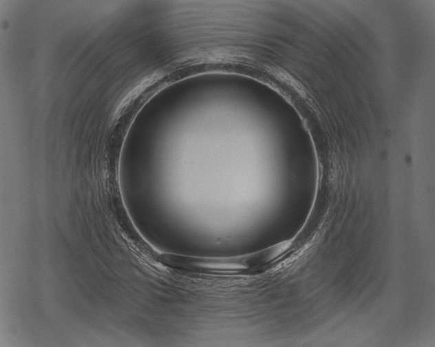 X0000068890922200605081316