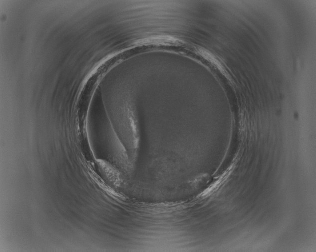 X0000068890923200605081316