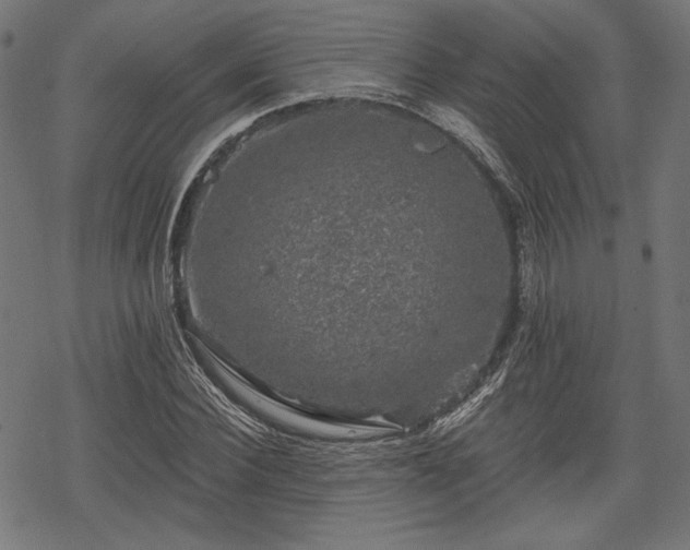 X0000068890924200605081316