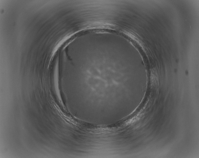 X0000068890925200605081316