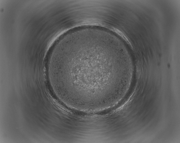 X0000068890926200605081316