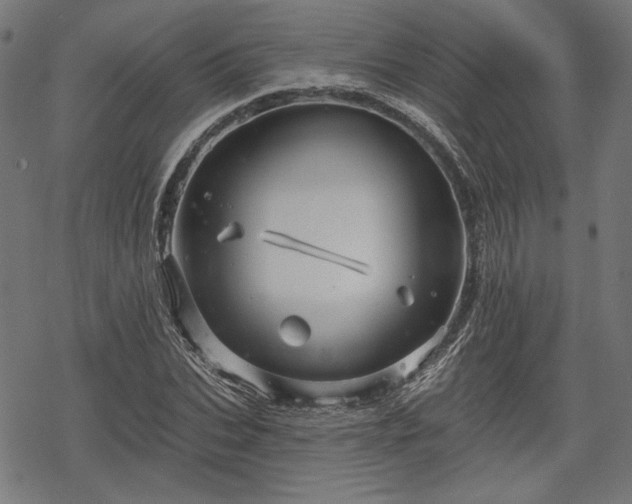 X0000068890927200605081316