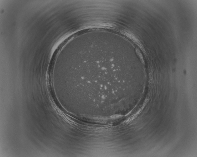 X0000068890928200605081316