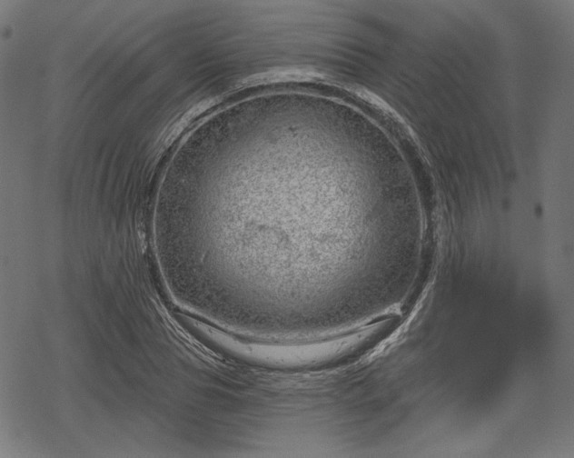 X0000068890929200605081316