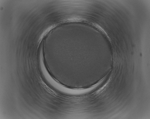 X0000068890930200605081316