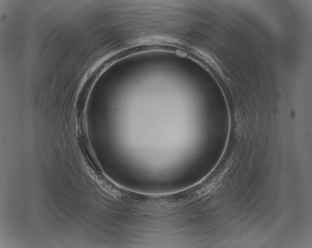 X0000068890931200605081316