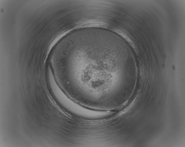 X0000068890933200605081316