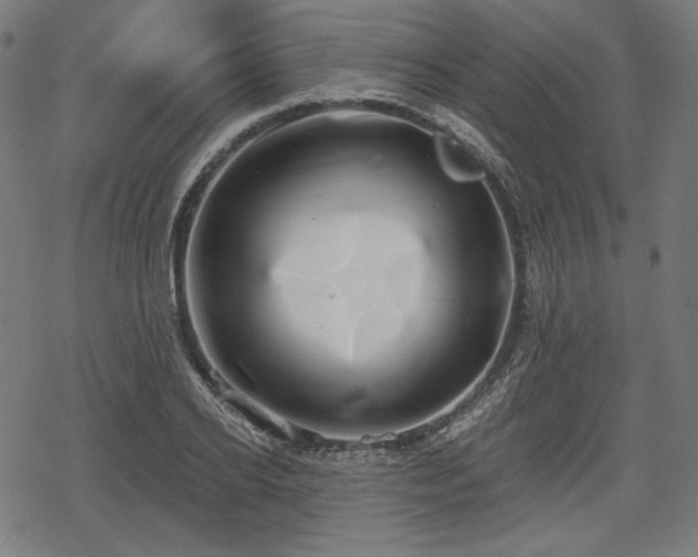 X0000068890934200605081316