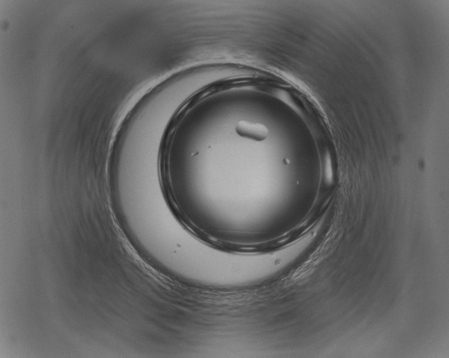 X0000068890935200605081316