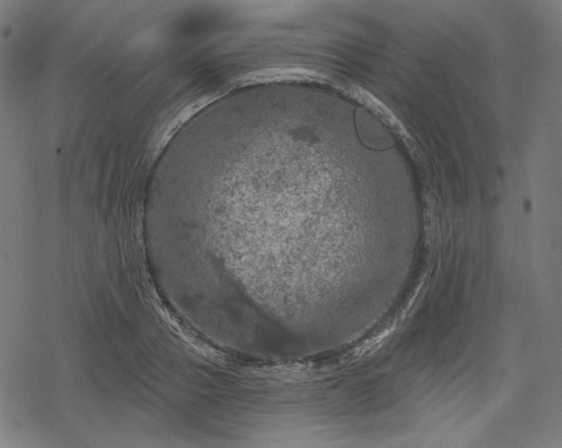 X0000068890937200605081316