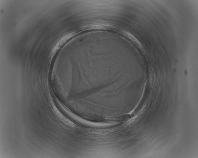 X0000068890938200605081316