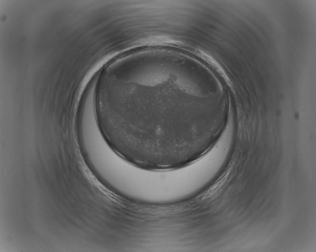 X0000068890939200605081316