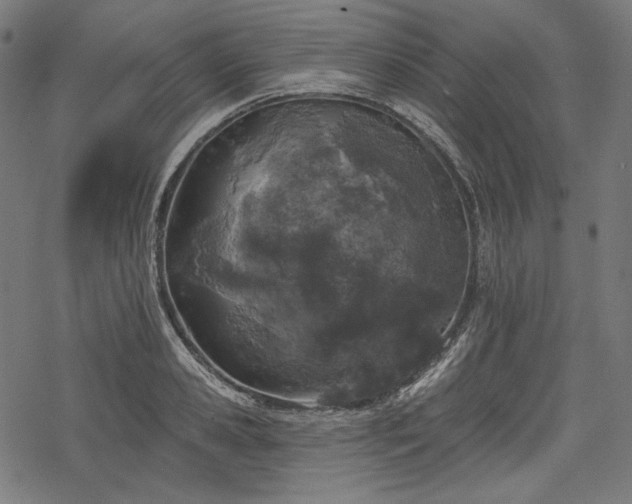 X0000068890941200605081316