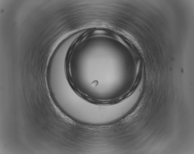 X0000068890942200605081316