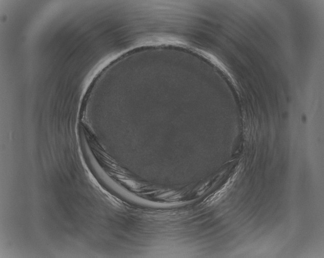 X0000068890943200605081316