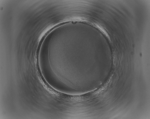 X0000068890944200605081316