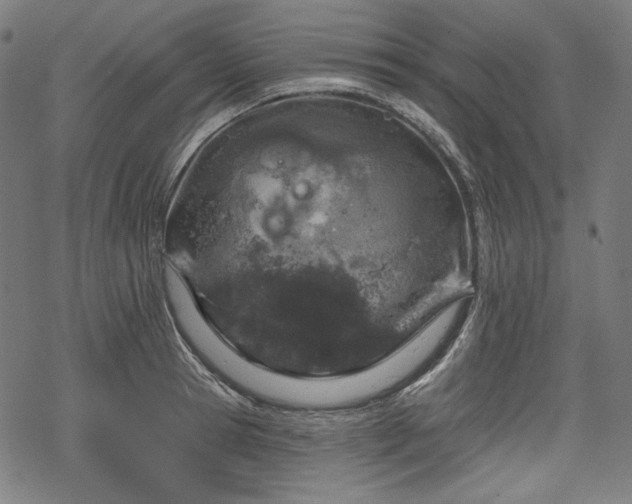 X0000068890945200605081316