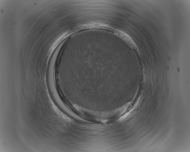 X0000068890946200605081316