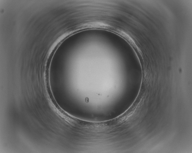 X0000068890947200605081316