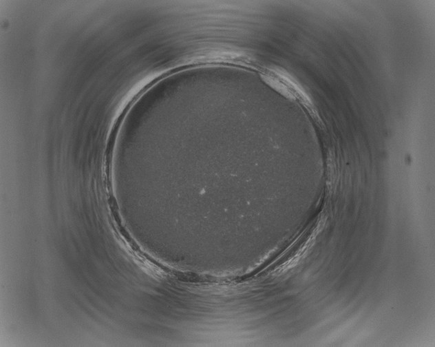 X0000068890948200605081316