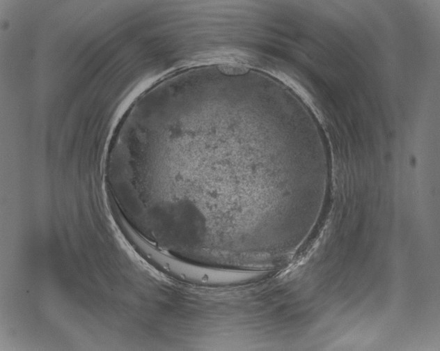 X0000068890949200605081316