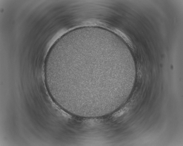 X0000068890950200605081316