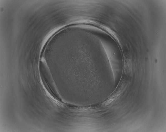 X0000068890951200605081316