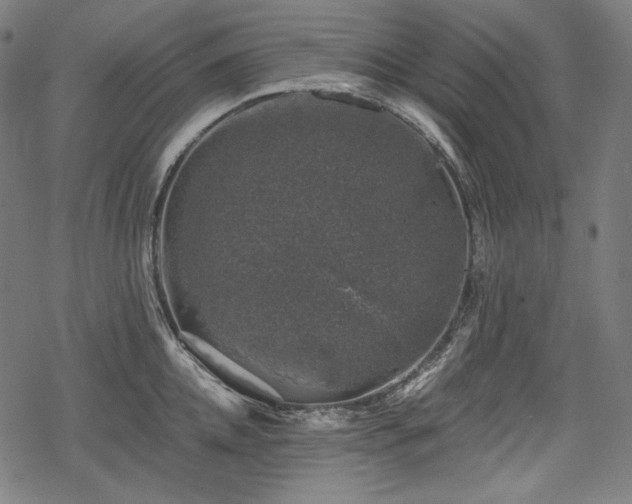 X0000068890952200605081316