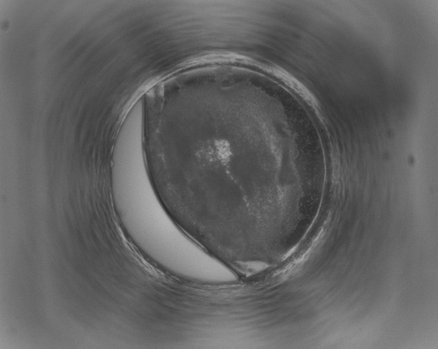 X0000068890953200605081316