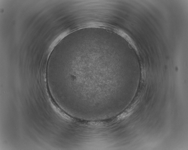 X0000068890954200605081316